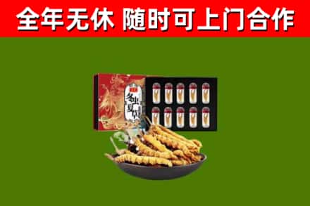 青川县回收冬虫夏草价格