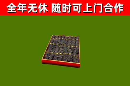 青川县回收海参